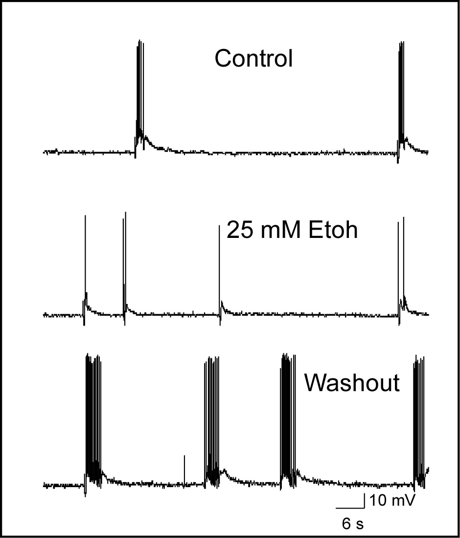 sample traces
