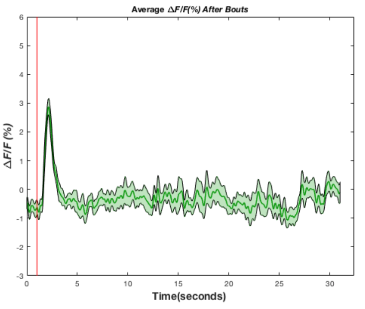 fiber photometry data