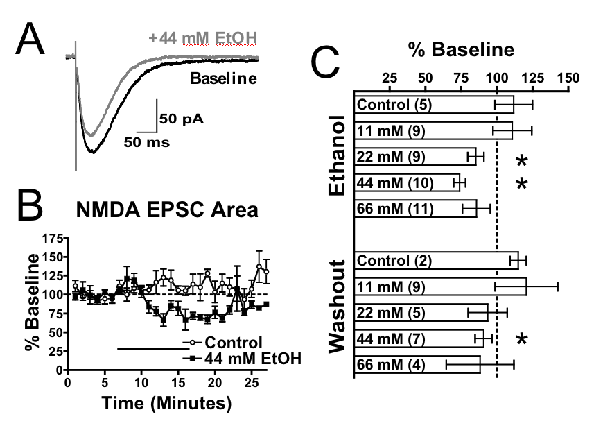 nmda epsc