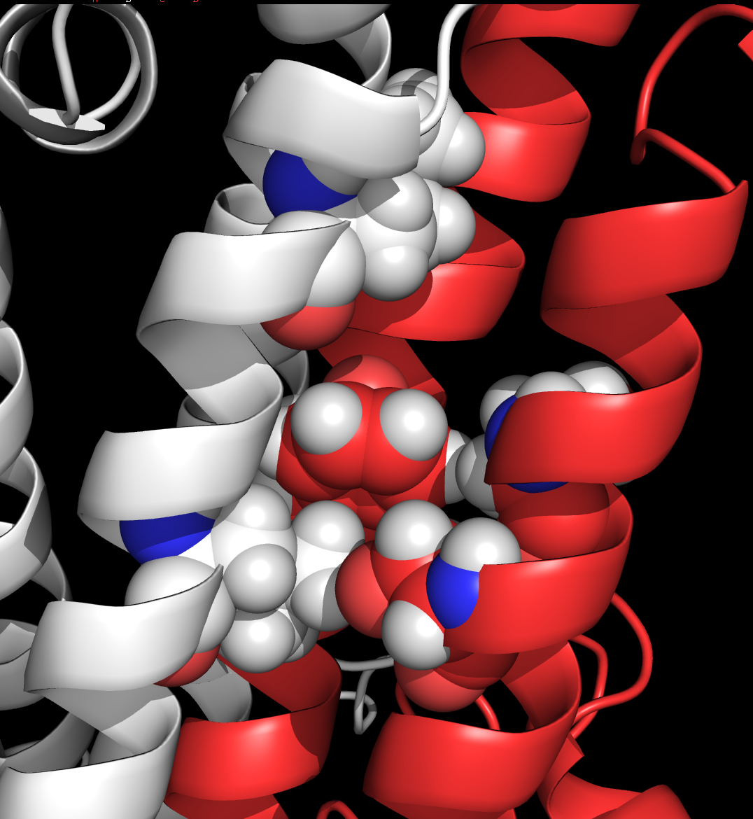 TM3