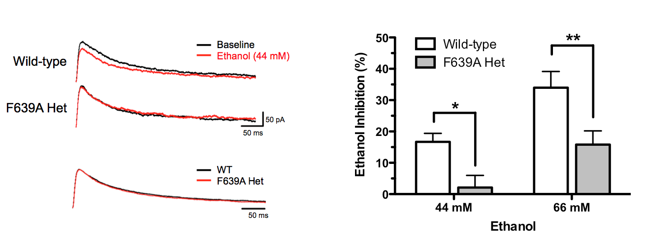 F639A mouse currents